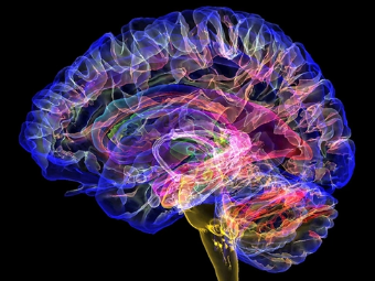 掰开逼逼操视频导航大脑植入物有助于严重头部损伤恢复